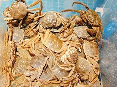 -曼格活海鲜·牛排自助(光明蓝鲸店)