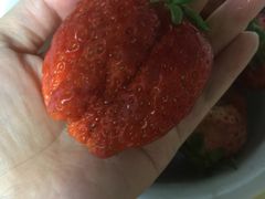 -牛很鲜潮汕牛肉火锅(朝晖路店)