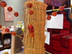 -杨记齐齐哈尔烤肉(总店)