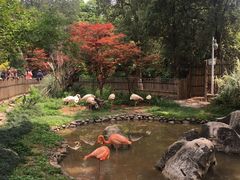 -昆明动物园