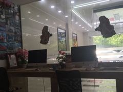 -车艺佳龙膜隐形车衣汽车贴膜(宝山丰宝店)