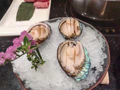 鲍鱼-協成海鮮火鍋(老店)
