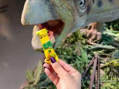 -安徽省地质博物馆