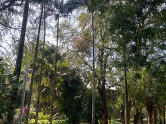 -北海市海滨公园