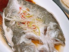鲈鱼-宴愉(洛邑古城店)