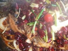 -老板恋上鱼(印象城店)