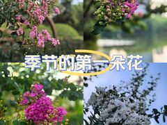 -杭州城北体育公园