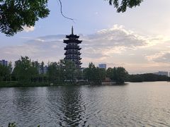 -洋湖国家湿地公园