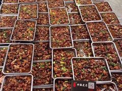 -向民炒鸡老店(火车站店)