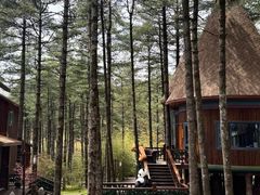-洛阳白云山景区