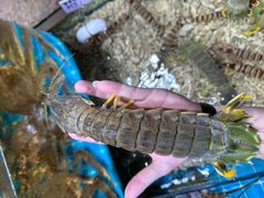 -醉壹号海鲜大排档(厦门美食地标店)