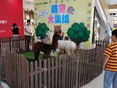 -上海颛桥万达广场