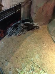 -酷嗒动物文化乐园(cutezoo西溪乐天城店)