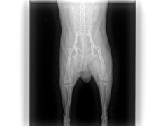 -佳雯宠物医院(金华南路分院)