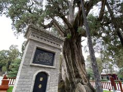 -黄帝陵