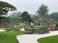 -罗红摄影艺术馆