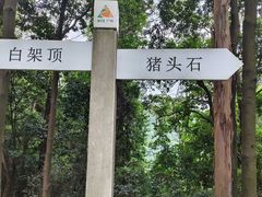 -火炉山森林公园