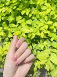 -Eri Nail·绘里专业美甲美睫