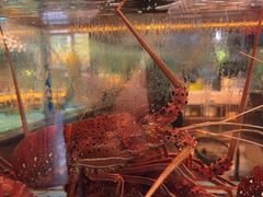 -阿伟海鲜楼·福建菜(延寿店)