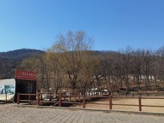 -金石滩蓝莓谷庄园