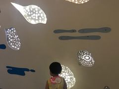 -深圳东部华侨城瀑布酒店