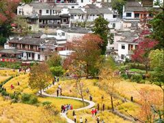 -塔川景区