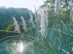 -贵阳市花溪国家城市湿地公园