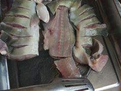 -鲜椒鱼·雅安地标性美食