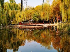 -玲珑塔公园