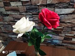 -上岛咖啡(华源四里店)