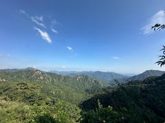 -大岭沟猕猴桃谷风景区