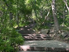 -紫金山山顶公园