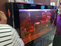 -东四民芳餐厅(世茂工三店)