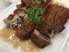 荔枝柴烧鹅1份-红日饭店(裕隆三路店)