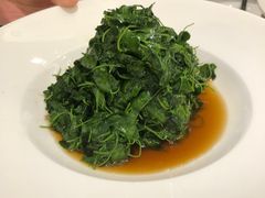 -沪碟·精菜坊(闵行店)