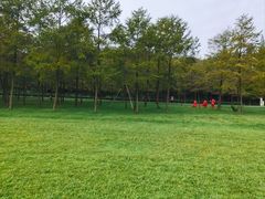 -宜兴龙背山森林公园