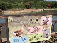 -哈尔滨北方森林动物园