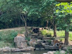 -扬州市茱萸湾风景区