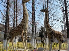 -大连森林动物园