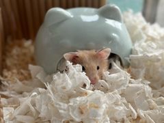 -万达广场(芜湖镜湖店)