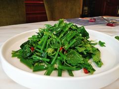 丝瓜苗-子霖南山鲜虾面(南山总店)