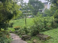 -张坝桂圆林公园