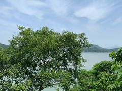 -桃花岛风景旅游区