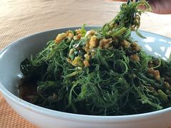 凉拌海草-沙田台山海鲜·酣客酒窖