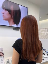 -YESIDO椰岛造型