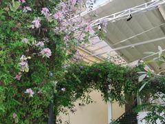 -花苑里咖啡(威远店)