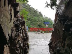 -金龙寺国家森林公园