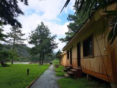 -海南热带雨林国家公园吊罗山景区