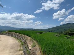 -牙胡梯田