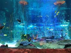 -沈阳海洋探索中心